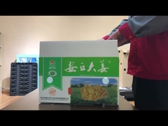 Pudełko warzywne z płyty PP