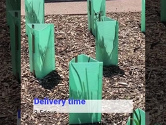 Plastikowa osłona drzewa