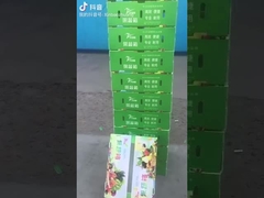 Pudełka na owoce i warzywa