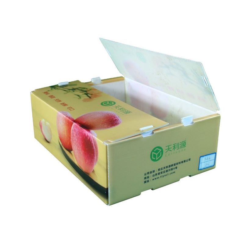 Owoce warzywa opakowania PP kartonplast Winogrona opakowania pudełka plastikowe pudełka brokuły faliste