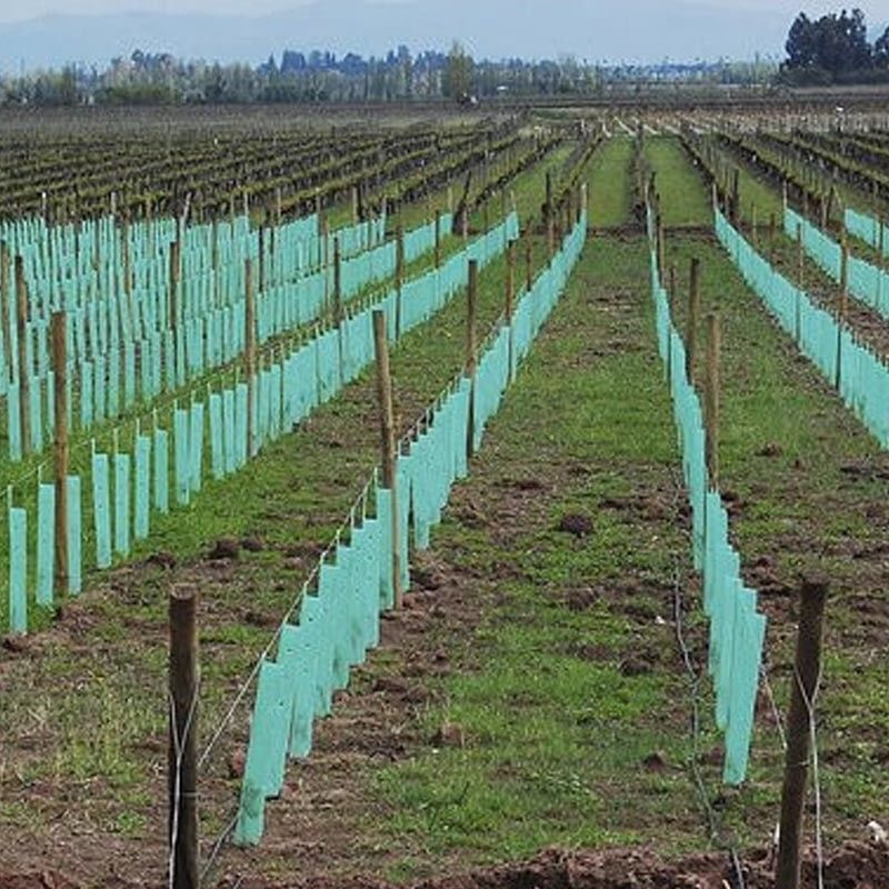 1,5 mm PP korflut Tree Guard Zielone plastikowe ochraniacze pnia drzewa