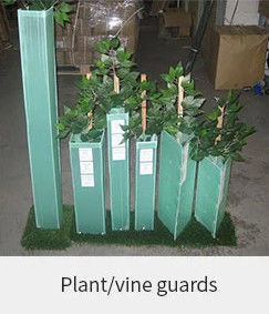 1,5 mm PP korflut Tree Guard Zielone plastikowe ochraniacze pnia drzewa
