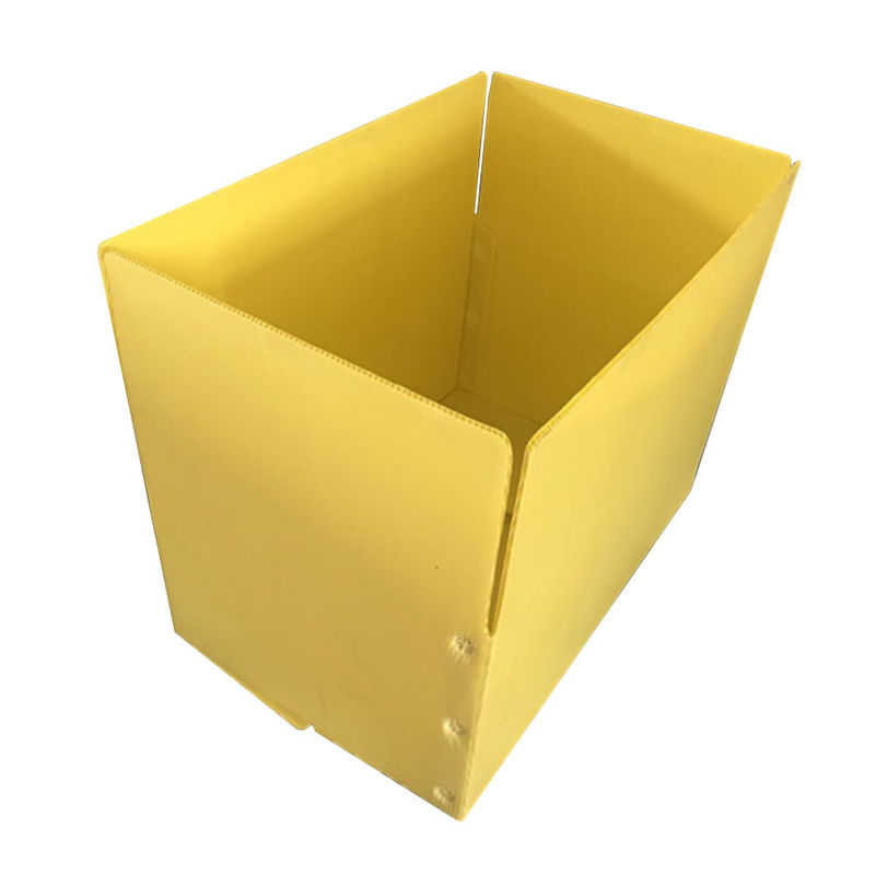 Żółte szparagi Correx PP Pudełko z tektury falistej 3,5 mm korflut Storage Boxes