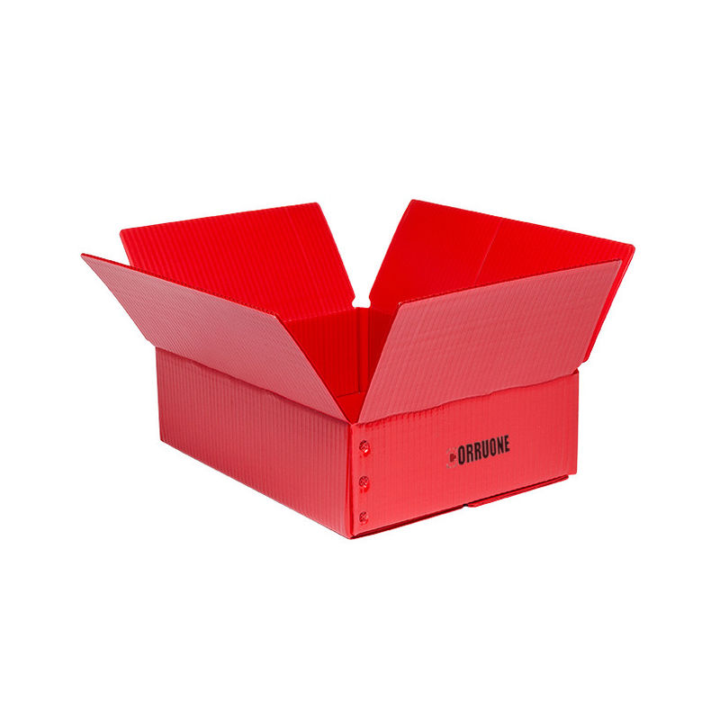Żółte szparagi Correx PP Pudełko z tektury falistej 3,5 mm korflut Storage Boxes