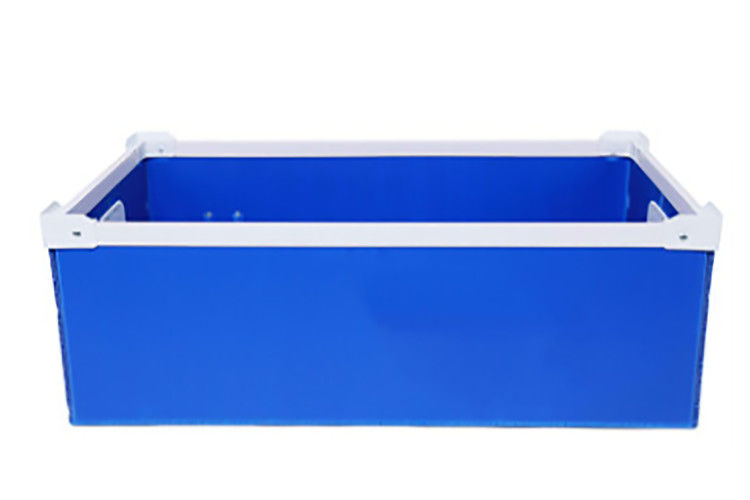 Żółte szparagi Correx PP Pudełko z tektury falistej 3,5 mm korflut Storage Boxes