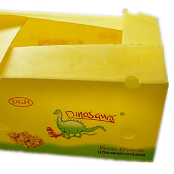 Owoce warzywa opakowania PP kartonplast Winogrona opakowania pudełka plastikowe pudełka brokuły faliste