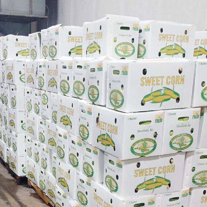Korruone Wodotwórcze Składane polipropylenowe faliste Plastikowe owoce warzywa Szparagusz/Dżingwer/Taro/Okra Pudełka do pakowania