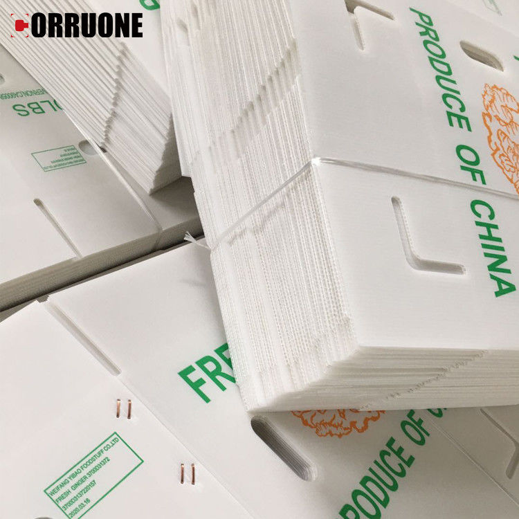 Owoce warzywa opakowania PP kartonplast Winogrona opakowania pudełka plastikowe pudełka brokuły faliste