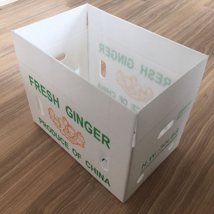 Owoce warzywa opakowania PP kartonplast Winogrona opakowania pudełka plastikowe pudełka brokuły faliste