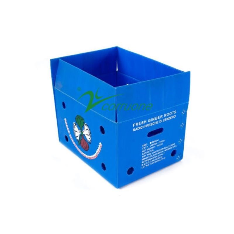 Korruone wodoodporne Owoce Warzywa Opakowanie PP KartonPlast Winogrona Pudełka opakowania Plastikowe pudełka z brokułami Pudełka z ingwerem