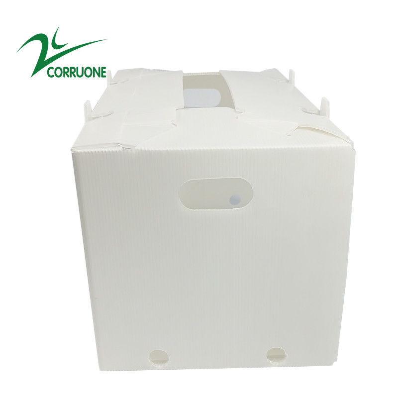 2mm-11mm Hollow Carton Koroplast Correx Składane pudełka z tektury falistej