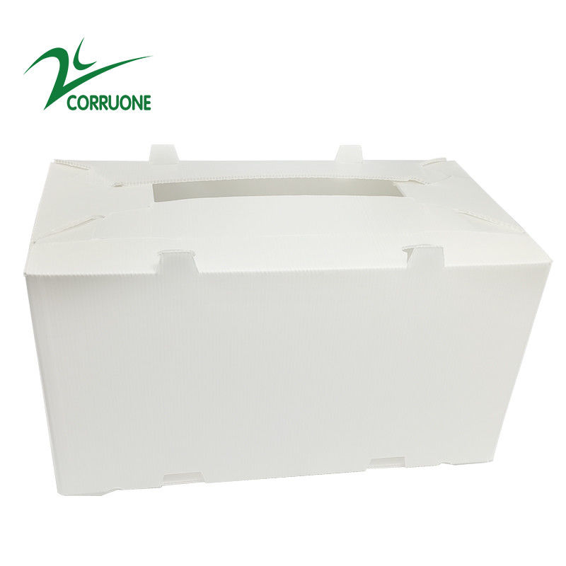 2mm-11mm Hollow Carton Koroplast Correx Składane pudełka z tektury falistej