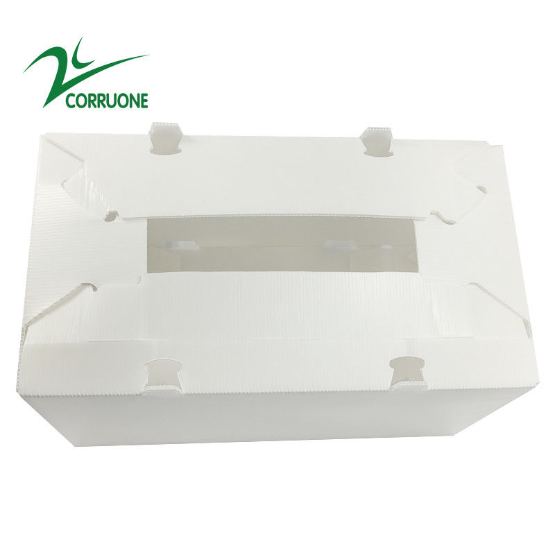 2mm-11mm Hollow Carton Koroplast Correx Składane pudełka z tektury falistej