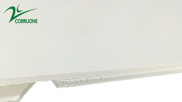 2mm-11mm Hollow Carton Koroplast Correx Składane pudełka z tektury falistej