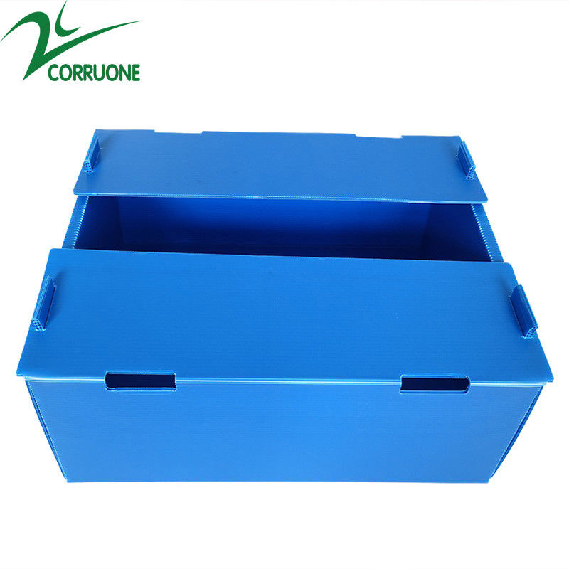 Pudełka z tektury falistej z podwójnymi ściankami Koroplast Storage Boxes Blue