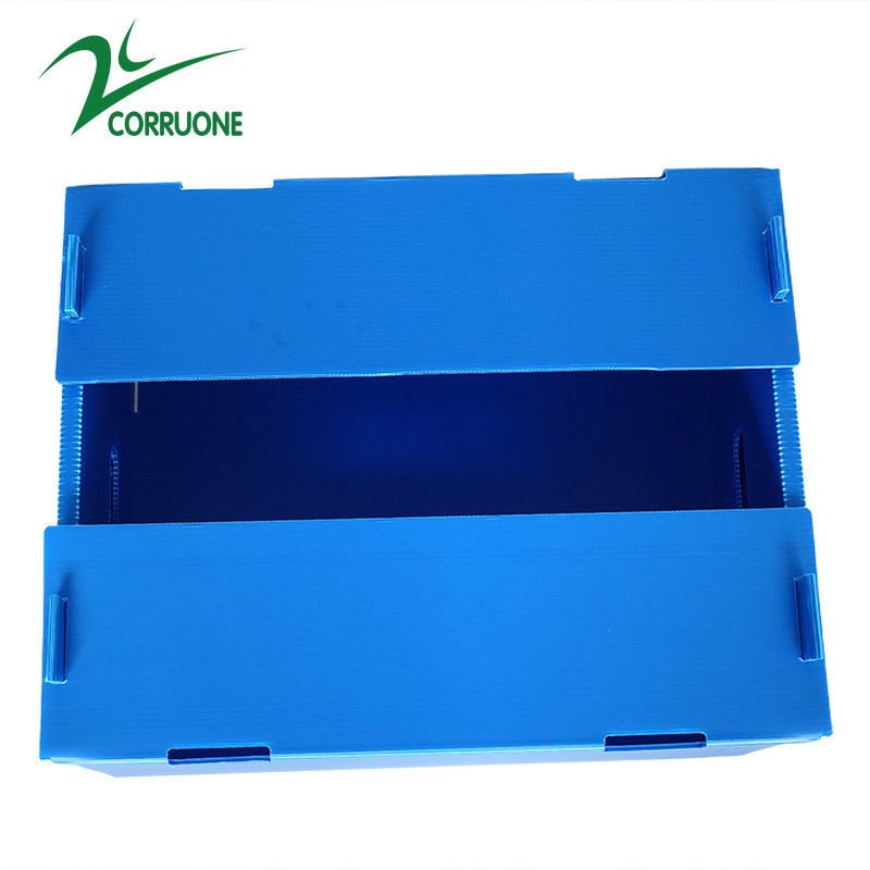 Pudełka z tektury falistej z podwójnymi ściankami Koroplast Storage Boxes Blue