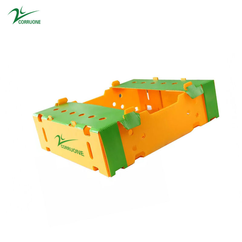 6mm 8mm Szparagi Correx Opakowania Pudełka Mango Koroplast Storage Boxes
