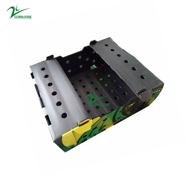 6mm 8mm Szparagi Correx Opakowania Pudełka Mango Koroplast Storage Boxes