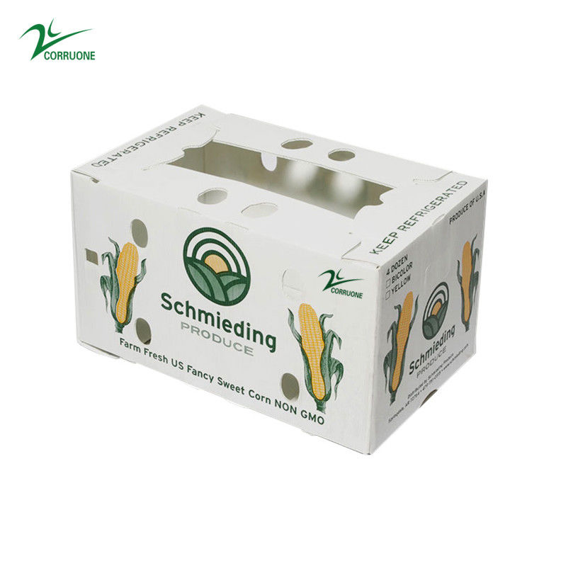 Pudełka z tektury falistej z podwójnymi ściankami Coroplast Storage Boxes Blue