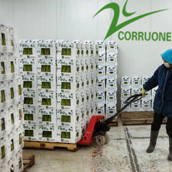 Pudełka z tektury falistej Black Corriflute Plastikowe pojemniki do przechowywania z tektury falistej
