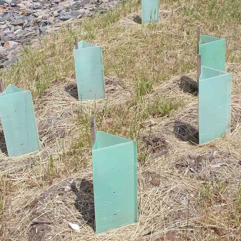 Plastikowa osłona drzewa z tektury falistej korflut Plastikowe ochraniacze pnia drzewa