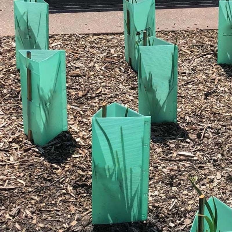 Płaska powierzchnia falistej plastikowej osłony drzewa w kolorach dostosowanych do ochrony roślin