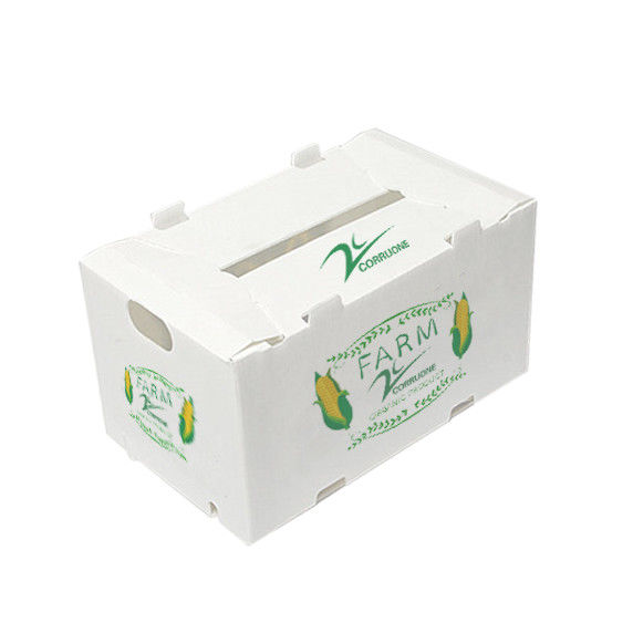 Korruone Wodotwórcze Składane polipropylenowe faliste Plastikowe owoce warzywa Szparagusz/Dżingwer/Taro/Okra Pudełka do pakowania